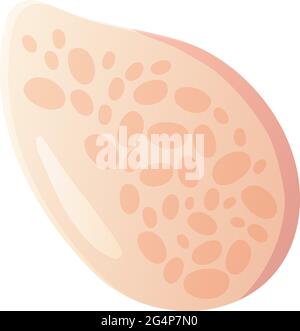 Pink scallop seashell. Beach clipart,ocean element concept. Stock vector illustration isolated on white background in flat cartoon style Stock Vector
