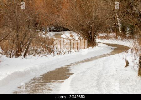 snow covered trail through the local park Stock Photo