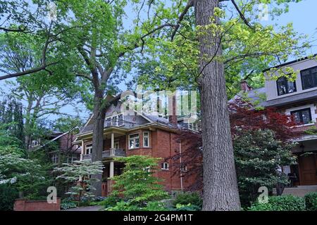 Shady residential street with tall trees surrounding older urban three story houses Stock Photo