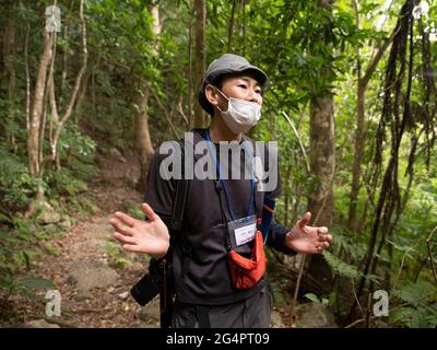 Forest Guide In The Yanbaru National Park Okinawa Japan Stock Photo Alamy