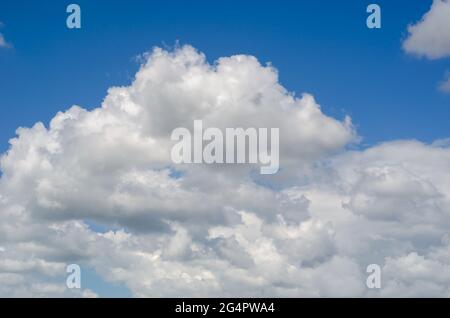 A blue summer sky with white clouds. White-gray clouds turning into a solid cloud. Natural background. Stock Photo