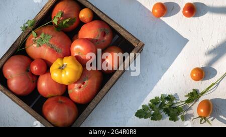 Ripe fresh tomatoes of different varieties in wooden tray market organic agriculture or farm. Shot from above Stock Photo