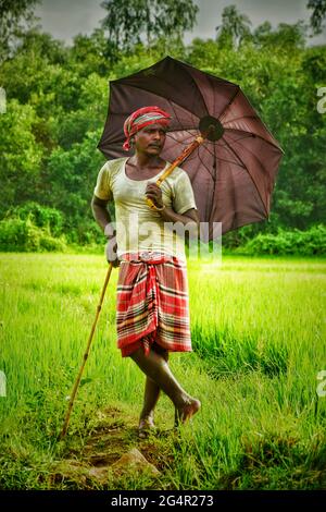 Indian Farmer Stock Photo