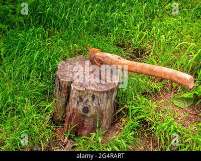 Ax for cutting wood in a tree stump. Lumberjack's ax. Chop wood. Wooden stump. Green grass. Logging. Protection of Nature. Ecological catastrophy. Def Stock Photo