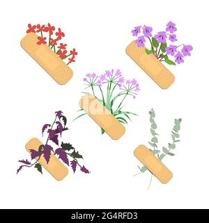 Sticking plasters with different flowers and leaves set. Medical patches collection isolated on white background. Stock Vector