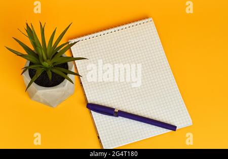 Top view office desk writing desk yellow background, squared notepad with pen for notes. Top view with copy space, flat lay. Cactus for background Stock Photo