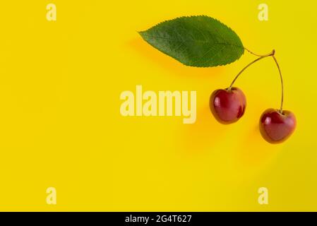 Two red cherries whit leaf on yellow background with copy space. Design for label, greeting card, poster. Stock Photo