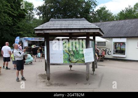 Visitor taking picture of Box Hill map sign at top of National Trust site, Surrey Hills, England, UK, Daytime Summer June 2021 Stock Photo