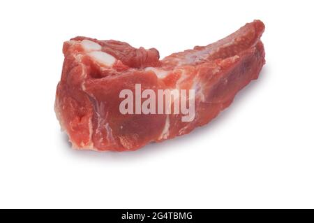 Studio shot of raw pork rib cut out against a white background - John Gollop Stock Photo