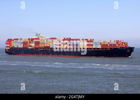 The container ship Sealand Illinois will reach the port of Rotterdam on May 29, 2021. Stock Photo