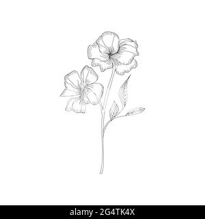 Hibiscus flower. Tropical plant doodle. Floral scrawl. Hibiscus sketch. Scribble vector. Jungle nature. Hand drawn effect petal illustration. Highly Stock Vector