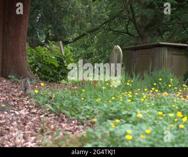 St. James the Great Church Graveyard in Gawsworth Cheshire Stock Photo