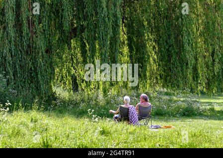 A rear view of a middle aged couple sitting under a weeping willow tree by the River Thames at Shepperton on a hot sunny summers day Shepperton Surrey Stock Photo