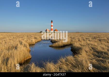 Saltmarsh and the lighthouse Westerhever in spring, Wadden Sea National Park, North Frisia, Schleswig-Holstein, Germany Stock Photo