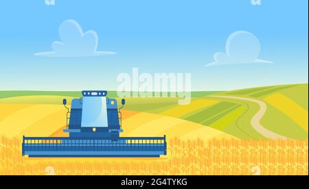 Farm harvester working, harvesting wheat from countryside yellow cereal farmland field vector illustration. Cartoon agricultural farmer combine machine cuts crop, agriculture technology background Stock Vector
