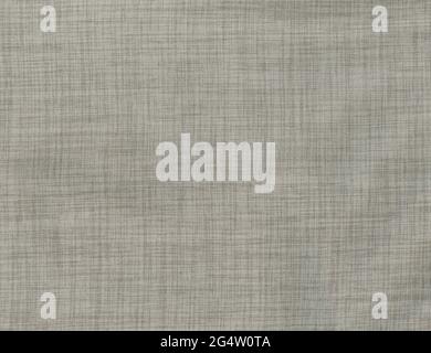 light grey polyester and cotton fabric texture useful as a background Stock Photo