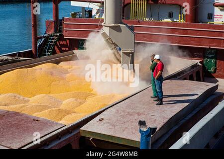 Corn in bulk carrier hold. Casting hold of corn. Elevator crane loads ship bulk carrier with corn Stock Photo