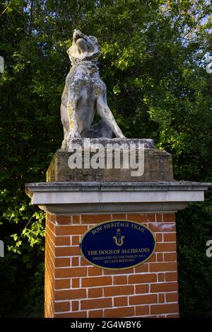 Statue of one of the Dogs of Alcibiades in Victoria Park. Stock Photo