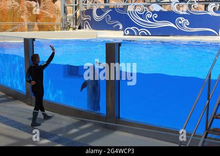 Belek, Antalya, Turkey - May 15, 2021: The Dolphins on creative entertaining show at Land of Legends theme park in Belek. Stock Photo