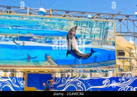 Belek, Antalya, Turkey - May 15, 2021: The Dolphins on creative entertaining show at Land of Legends theme park in Belek. Stock Photo