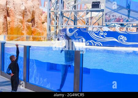 Belek, Antalya, Turkey - May 15, 2021: The Dolphins on creative entertaining show at Land of Legends theme park in Belek. Stock Photo