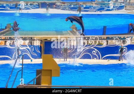 Belek, Antalya, Turkey - May 15, 2021: The Dolphins on creative entertaining show at Land of Legends theme park in Belek. Stock Photo