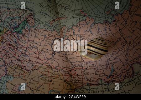 Little snail crawling across the world map Stock Photo