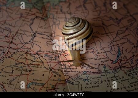 Little snail crawling across the world map Stock Photo