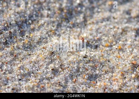 Natural curved background from a colorful pebbly sandy beach Stock Photo