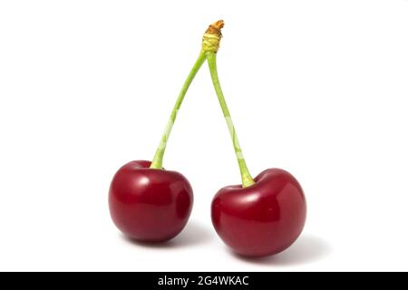 Two isolated red cherries on a white background Stock Photo
