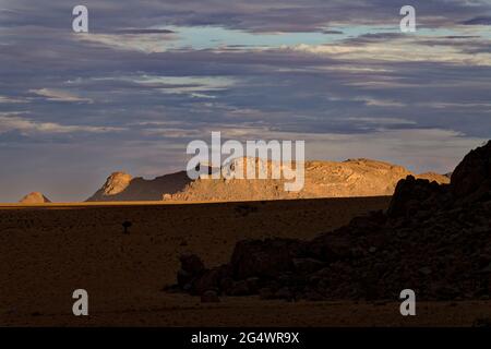 Klein-Aus Vista Lodge near Aus:  Aus mountains at the edge of the Namib desert, rainy season,   Karas Region, Namibia Stock Photo