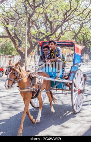 Young Indian male with moustache driving a horse-drawn carriage, Mysore, Karnataka, India Stock Photo