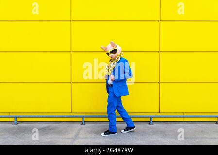 Man wearing vibrant blue suit, pig mask and large golden chain posing against yellow wall Stock Photo