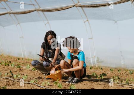 Female farmer teaching gardening to afro girl while crouching at greenhouse Stock Photo