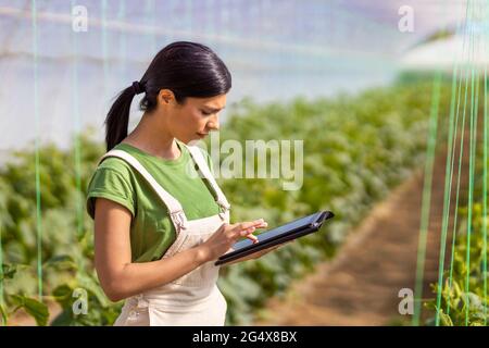 Female farmer using digital tablet in greenhouse Stock Photo