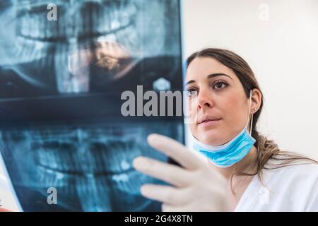 Female dentist examining x-ray at medical clinic Stock Photo