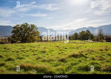 Murnauer Moos and Alps at Garmisch-Partenkirchen, Bavaria, Germany Stock Photo
