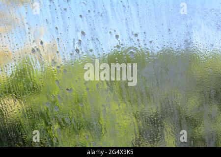 Background of soapy water on windshield at car wash with blue sky ans green trees Stock Photo