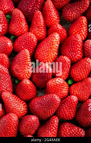 Full frame of fresh ripe strawberries Stock Photo