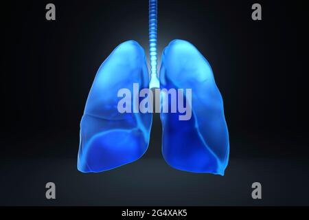 Illustration of blue human lungs over black background Stock Photo