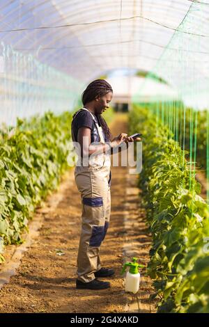 Female farmer using digital tablet while standing at greenhouse Stock Photo