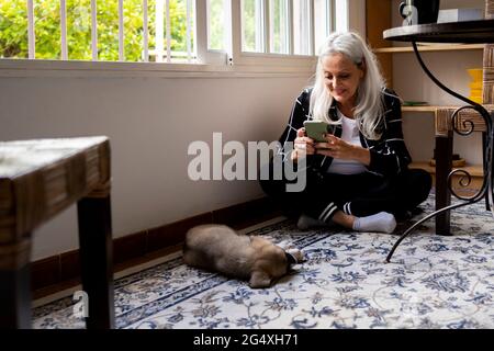 Senior woman photographing dog sleeping on floor in living room Stock Photo