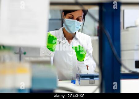 Female medical expert using pipette while testing in laboratory during pandemic Stock Photo
