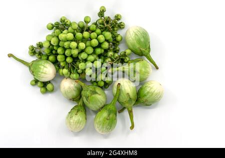 Group of fresh Thai eggplant and Turkey berry together on white background, top view image. Stock Photo