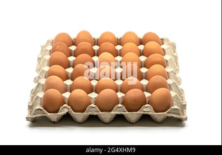 Organic fresh chicken eggs in paper cardboard tray packaging for sale on white background, 30 fresh brown chicken eggs total. 40-degree angle view. Stock Photo