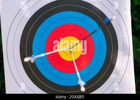Arrows in bull's eye on sports target Stock Photo