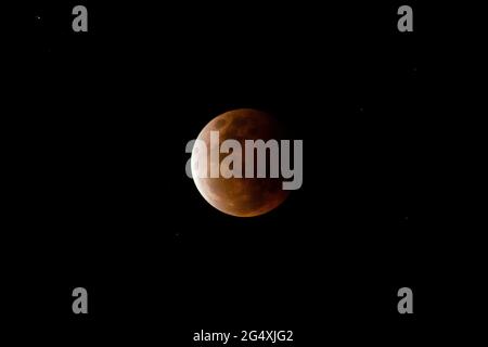 full total lunar eclipse produce blood red supermoon taken from sunshine coast in queensland. australia. southern hemisphere. Stock Photo
