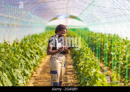 Smiling female farmer using digital tablet at greenhouse Stock Photo