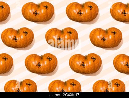 Halloween pattern of spiders crawling on raw pumpkins Stock Photo
