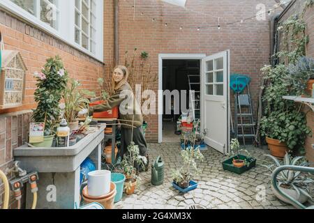 Smiling woman carrying plant while working at backyard Stock Photo